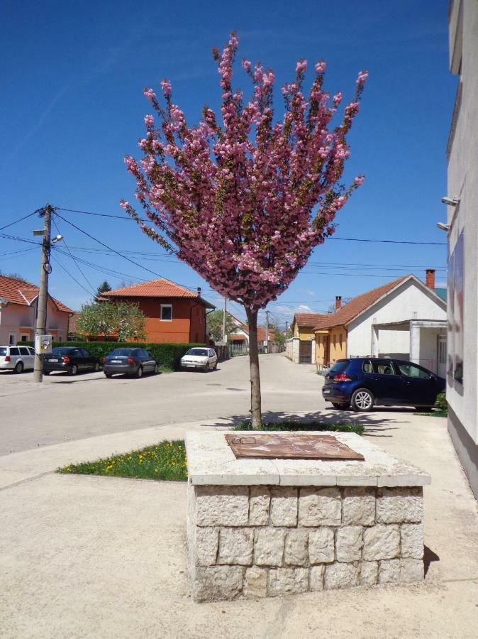 Apartman Bedem Niksic Exterior photo